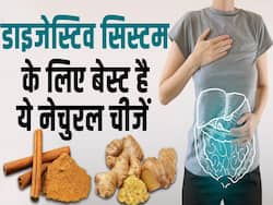 Digestive System Health: इन नेचुरल चीजों से डाइजेस्टिव सिस्टम होगा दुरुस्त