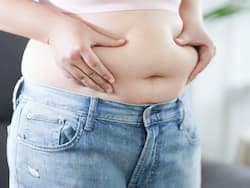 Belly Fat Loss Diet Tips For Indians: How To Lose Weight With Only Diet?