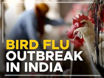 New Bird Flu Variant In India: H9N2 Avian Flu Outbreak Reported; Top 7 Signs You Are Infected