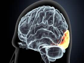 World Brain Tumour Day 2024: Here Are 12 Rare Symptoms You Should Be Aware Of