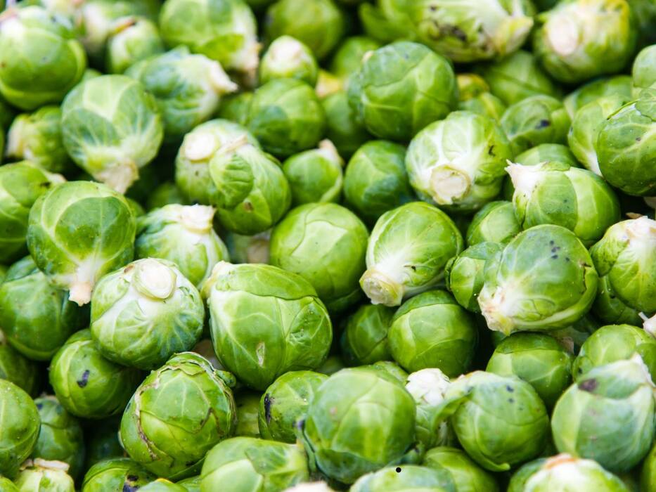 Omega-3 Vegetarian Source: 5 Foods With Rich Fatty Acid