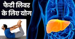 फैटी लिवर की समस्या का रामबाण इलाज हैं ये 3 योगासन, रोजाना 10 मिनट करने से दूर होगी समस्या