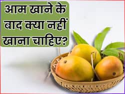 आम खाने के बाद भूलकर भी न खाएं ये 5 चीजें, सेहत को हो सकता है गंभीर नुकसान
