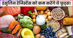 इंसुलिन रेजिस्टेंस को कम करने के लिए खाएं ये 5 फूड्स, बिना दवाओं के कंट्रोल रहेगा ब्लड शुगर लेवल