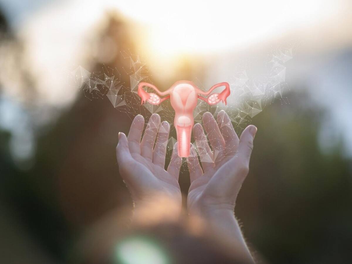 Addressing Menopause, After menopause, early menopause, Premature Ovarian Failure, difference between menopause and Premature Ovarian Failure, menopause symptoms, Premature Ovarian Failure symptoms, treatment for Premature Ovarian Failure