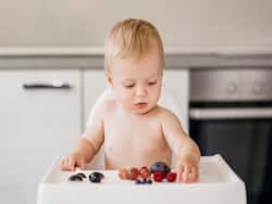 What Are Finger Foods And What Should Parents Know Before Feeding Toddlers?
