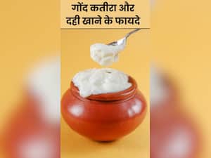 दही में गोंद कतीरा मिलाकर खाने के फायदे