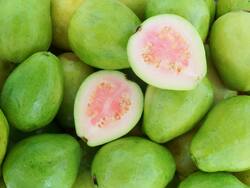 High Cholesterol Management Diet Tips: Top 5 Health Benefits of Eating Guava This Summer