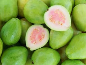 High Cholesterol Management Diet Tips: Top 5 Health Benefits of Eating Guava This Summer
