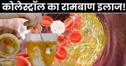 रोज सुबह खाली पेट पानी में घोलकर पी लें ये एक चीज, नसों में जमा गंदा कोलेस्ट्रॉल पिघलकर निकल जाएगा बाहर
