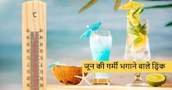 जून में भी आपकी बॉडी को कूल बनाकर रखेंगे ये खास होममेड नेचुरल ड्रिंक्स, स्वाद ऐसा कि भूल जाएंगे कोलड्रिंक्स
