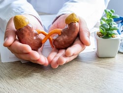 Kidney Health: 5 Easy Steps to Keep Your Kidneys Healthy in Summers