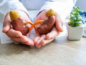 Kidney Health: 5 Easy Steps to Keep Your Kidneys Healthy in Summers
