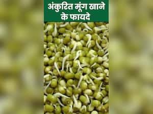 अंकुरित मूंग खाने के 8 जबरदस्त फायदे