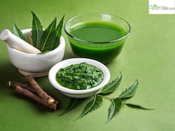 Diabetes Management Tips: When to Eat Neem Leaves To Control Your Blood Sugar Level