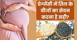 क्या प्रेग्नेंसी में तिल खाना है सही? एक्सपर्ट से जानिए इसके फायदे