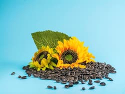 Sunflower Seeds For Diabetes Management: Can It Help Treat Type-2 Diabetes Naturally?