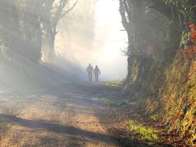Morning walk: Discover 5 Benefits Of Walking In Summer Mornings