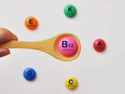 5 Vitamin B12-Rich Snacks You Can Include In Your Daily  Routine