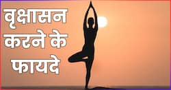 रोज वृक्षासन करने से सेहत को मिलते हैं ये 10 फायदे, एक्सपर्ट से जानें अभ्यास का सही तरीका