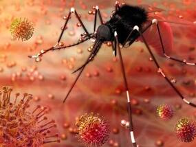 Pune Doctor, Daughter Test Positive For Zika Virus: 7 Warning Symptoms You Shouldn't Ignore