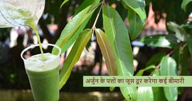 गर्मियों में डायबिटीज के मरीजों को सुबह खाली पेट अर्जुन के पत्तों का पानी पीने से मिलेंगे 5 जबरदस्त फायदे