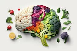 Functional Foods: Boost Your Brain, Joints, Immunity With Antioxidants, Omega-3s, And Vitamins