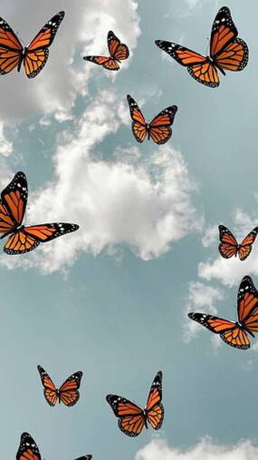 10 Popular Indian Baby Names Inspired By Butterflies