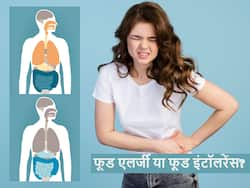 कुछ भी खाना खाने के बाद होने लगती है पेट में दिक्कत हो तो जान लें फूड एलर्जी और इंटॉलरेंस के बारे में