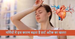 Heart attack in summer: गर्मियों में इन 4 कारणों से भी हो सकता है हार्ट अटैक, कहीं आप तो नहीं कर रहे ये 5 गलतियां