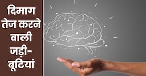 इन 6 जड़ी-बूटियों को खाते ही दिमाग होने लगता है तेज, सुधर जाता है खराब मानसिक स्वास्थ्य