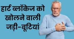 बंद धमनियों को खोलने में बेहद कारगर हैं ये 5 आयुर्वेदिक हर्बल पत्तियां, कभी नहीं पड़ेगा दिल का दौरा