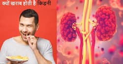 इन कारणों से डैमेज होने लगती है आपकी किडनी जिनका बचाव करना भी जरूरी, जानें कैसे रखें इनका ध्यान