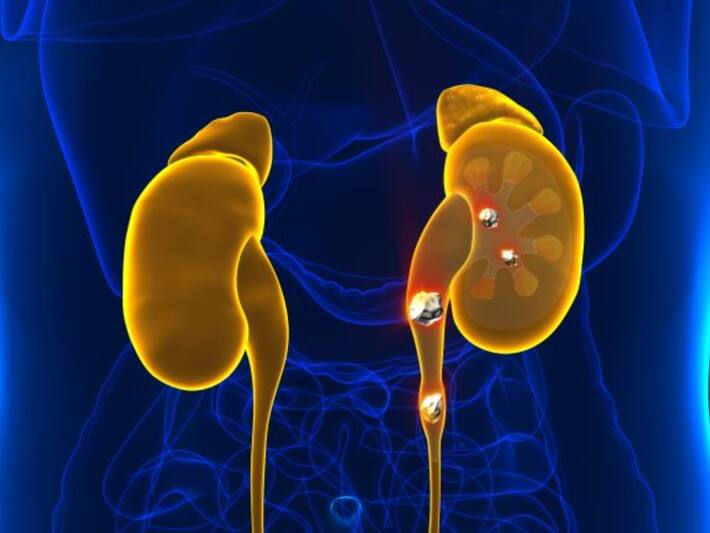 Patharchatta: 9 Health Benefits And Uses You Should Know ...