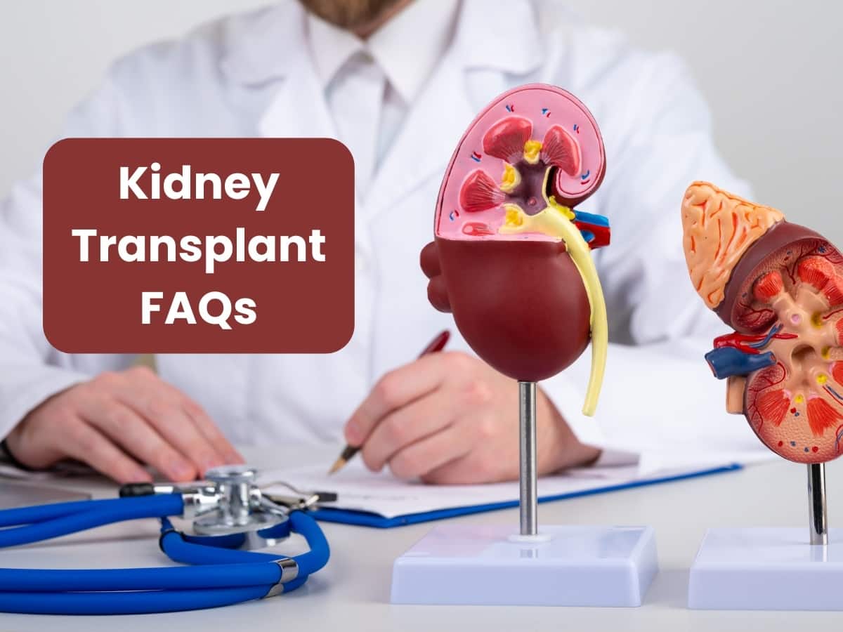 Considering a Kidney Transplant? 5 Questions You Must Ask Your Nephrologist