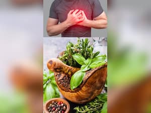 हाई कोलेस्ट्रॉल कंट्रोल करने वाले 8 फाइबर फूड्स