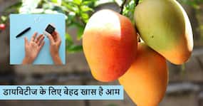 Diabetes care: डायबिटीज के मरीजों के लिए आम खाने के 5 फायदे, स्वाद के साथ मिलेंगे सेहत को फायदे