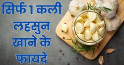 सिर्फ 1 कली लहसुन से ठीक हो सकती हैं ये 4 बीमारियां, जानिए किस समय खाना है ज्यादा फायदेमंद