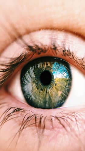 Improve Your Eyesight Naturally With These 6 Vegetables