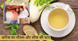 बरसात के मौसम में पिएं गरमा-गरम सौंफ की चाय, सेहत से जुड़ी ये 5 समस्याएं होने लगेंगी दूर