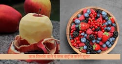 рд▓рд╛рд▓ рдЫрд┐рд▓рдХреЗ рд╡рд╛рд▓реЗ рдпреЗ 5 рдлрд▓ рджрд╡рд╛рдУрдВ рдХреА рддрд░рд╣ рдХрд░реЗрдВрдЧреЗ рд╣рд╛рдИ рдмреНрд▓рдб рд╢реБрдЧрд░ рдХрдВрдЯреНрд░реЛрд▓, рдЬрд╛рдиреЗрдВ рдбрд╛рдпрдмрд┐рдЯреАрдЬ рдкреЗрд╢реЗрдВрдЯ рдХреЗ рд▓рд┐рдП рдмреЗрд╕реНрдЯ рдлреНрд░реВрдЯ