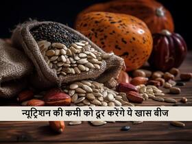 गर्मियां हों या सर्दियां डाइट में शामिल कर लें ये 4 प्रकार के बीज शरीर में कभी नहीं होगी न्यूट्रिशन की कमी