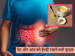 आंतों के अच्छे बैक्टीरिया को बढ़ाकर तेजी से पेट की बीमारियों को दूर करेंगे ये 4 फूड्स, सेवन करना जरूरी