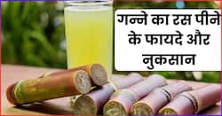 कई खूबियों से भरा है गन्ने का जूस, फायदे अनेक तो नुकसान भी कुछ एक, यहां जानें सब कुछ