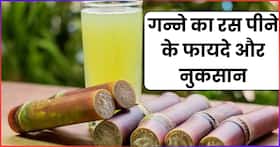 कई खूबियों से भरा है गन्ने का जूस, फायदे अनेक तो नुकसान भी कुछ एक, यहां जानें सब कुछ