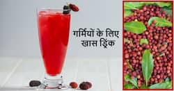 तपती गर्मियों में भी शरीर को पानी से भर देगा ये लाल रंग का पहाड़ी फल, फायदे जानकर ही आ जाएगा मुंह में पानी