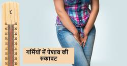 Urine problems: गर्मियों में होने लगी पेशाब की रुकावट तो परेशान न हों, ये खास नेचुरल ड्रिंक से निकलेगी शरीर की गर्मी