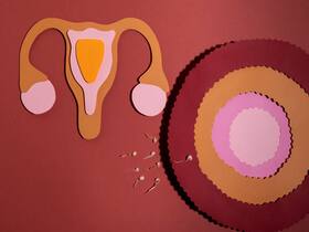Female Fertility: Consume These 5 Nutritious Seeds Everyday To Boost Fertility
