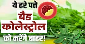 Bad Cholesterol Control Tips: बैड कोलेस्ट्रॉल को खींचकर बाहर निकाल देंगे ये हरे पत्ते Bad Cholesterol Control Tips: बैड कोलेस्ट्रॉल को खींचकर बाहर निकाल देंगे ये हरे पत्ते