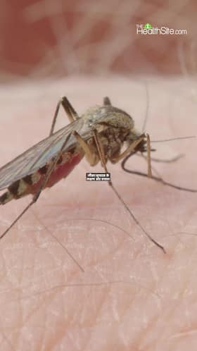 Zika Virus Symptoms Preventions